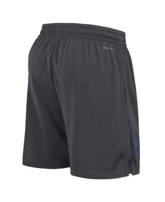 Men's Anthracite Florida Gators 2024 Sideline Mesh Shorts