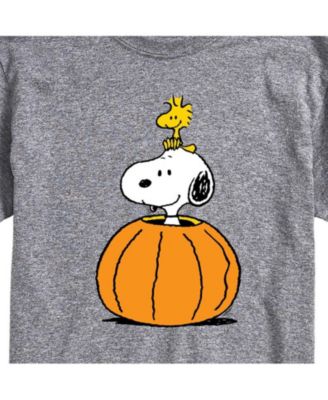 Hybrid Apparel Peanuts Pumpkin Mens Short Sleeve Tee