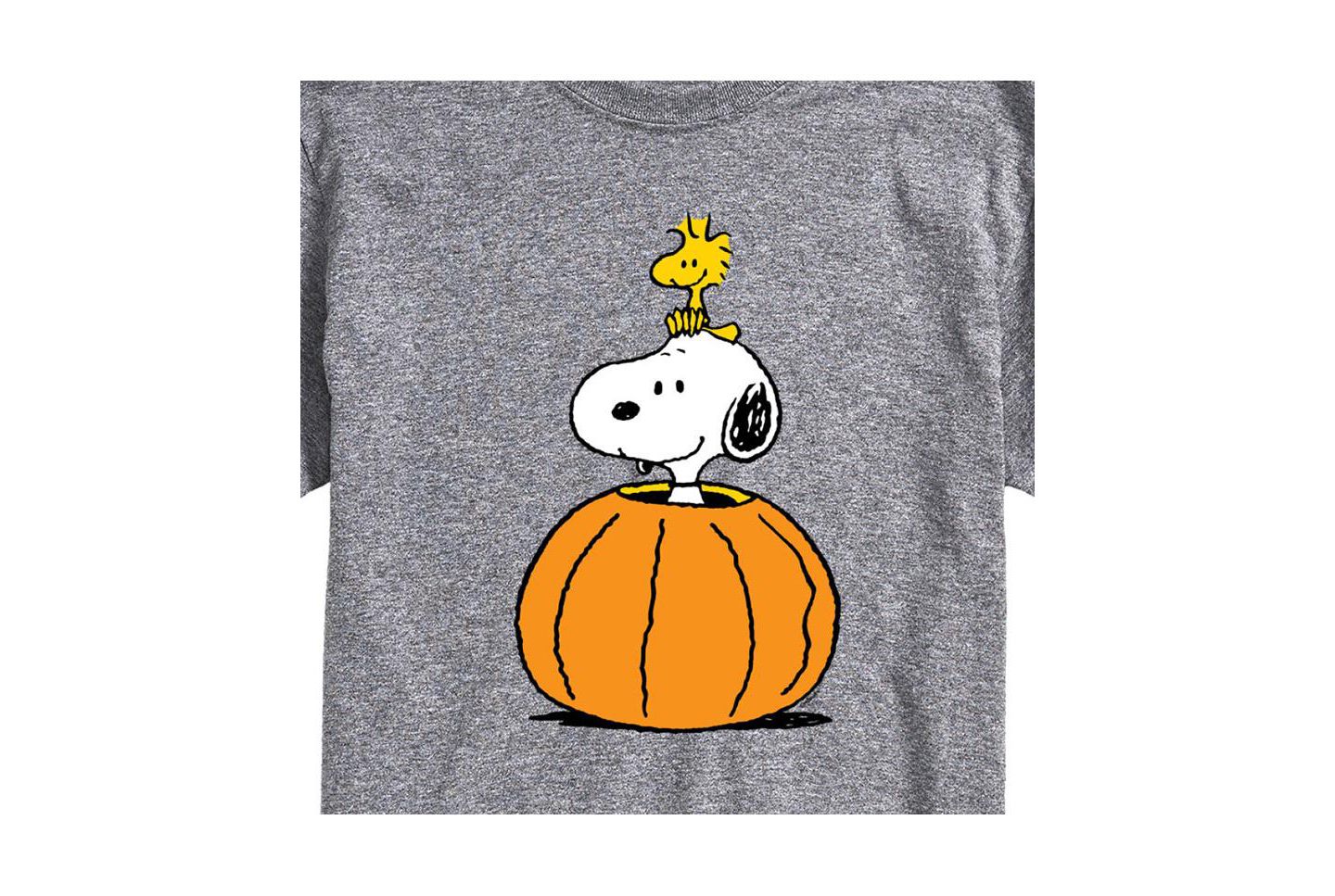 Мужская футболка AIRWAVES Hybrid Apparel Peanuts Pumpkin Short Sleeve, цвет: Серый — фото 3