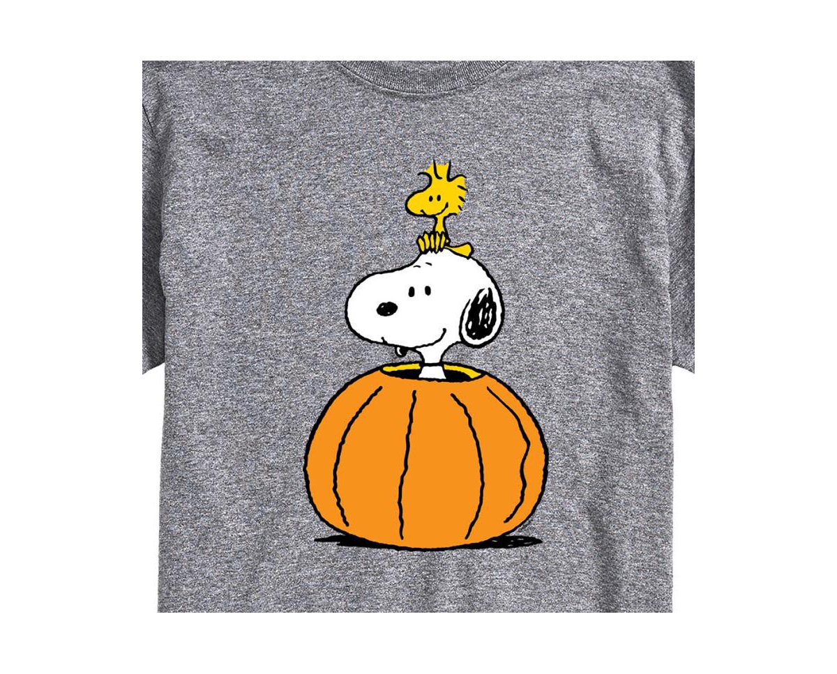 Airwaves Hybrid Apparel Peanuts Pumpkin Mens Short Sleeve Tee In Grey