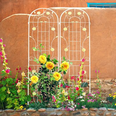 Rustproof Metal Garden Trellis for Climbing Plants