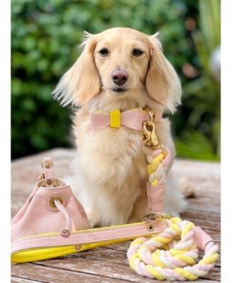 Pet Dog Collar - Sweetest Thing