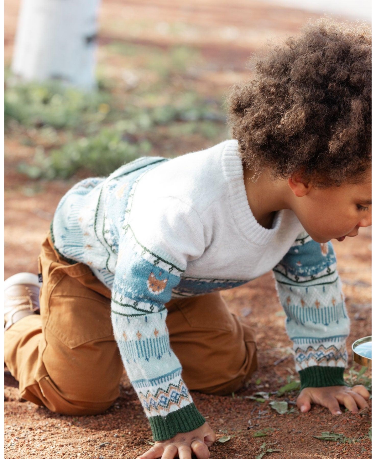 Deux par Deux Toddler Boys Jacquard Sweater With Fox Blue And Green - blue and green