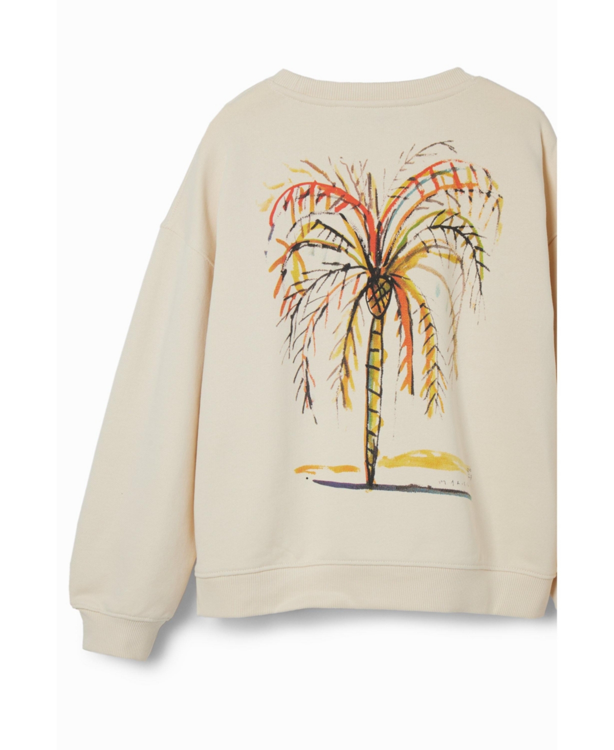 Desigual Boys Boys's Palm tree illustration sweatshirt