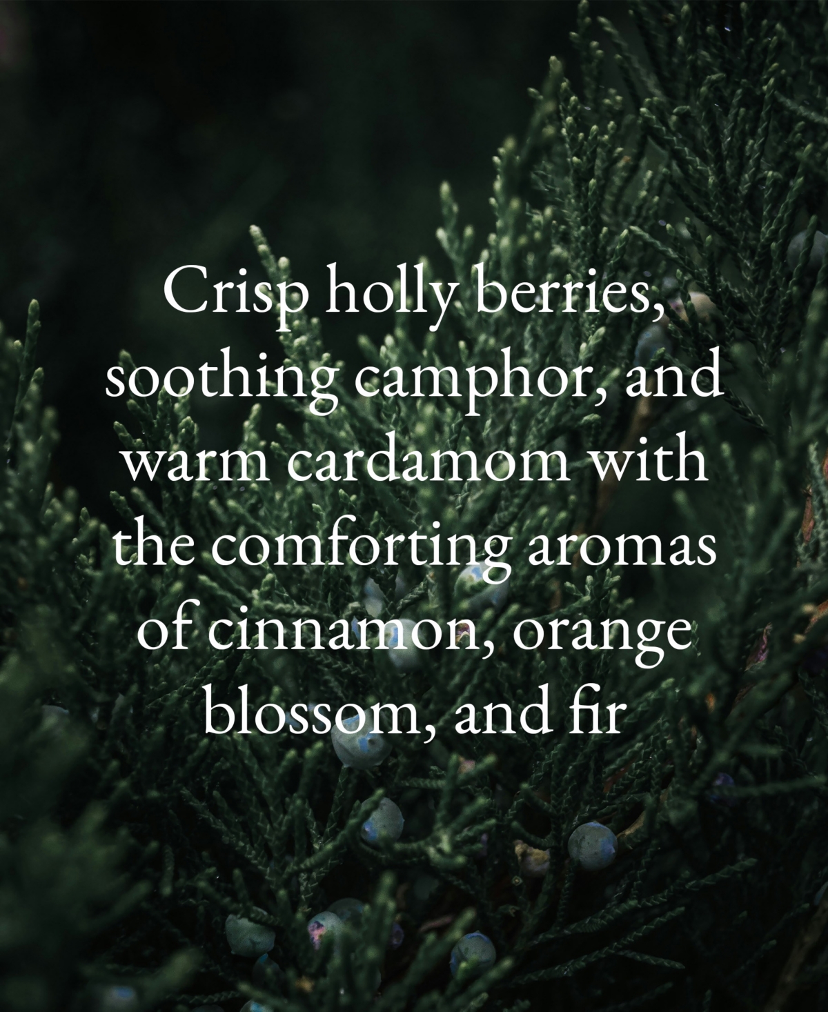 Aromatique Juniper Berry Aerosol Room Spray