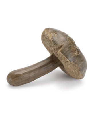 Decorative Mushroom Accent Rustic Home Decor Piece (Set of 12)