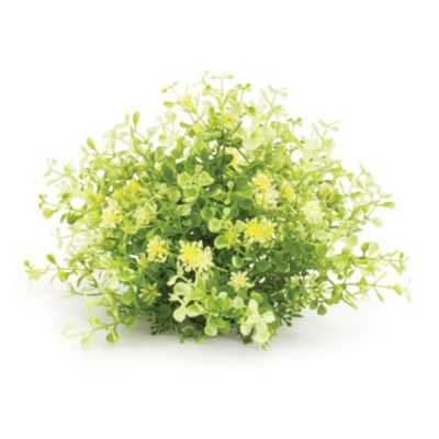 Decorative Half Orb for Stylish Holiday and Home Accents (Set of 2)