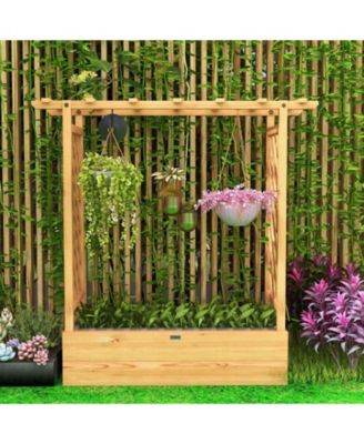 Raised Garden Bed with Trellis or Climbing Plant and Pot Hanging