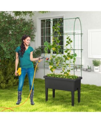 Self-watering Raised Garden Bed Elevated Planter with Climbing Trellis