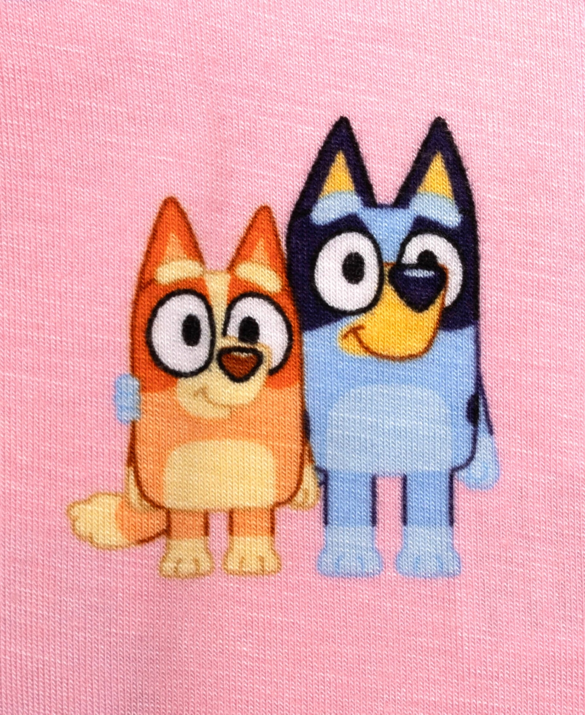 Bluey 2 Toddler Girl Viscose 2 Piece Long Sleeve Pajama