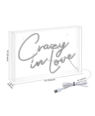 Crazy In Love Contemporary Glam Acrylic Box USB Operated LED Neon Light