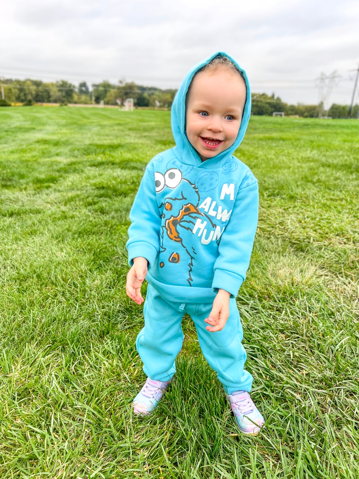 Sesame Street Baby Boys Fleece Pullover Hoodie and Pants Outfit Set to (12 Months - 5T)
