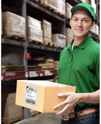 Nelko Genuine 4x6 Direct Thermal Shipping Label (Pack of 500 Fan-Fold Labels) 4x6 Thermal Labels for PL70E Shipping Label Printer, Perforated and Strong Adhesive, Commercial Grade