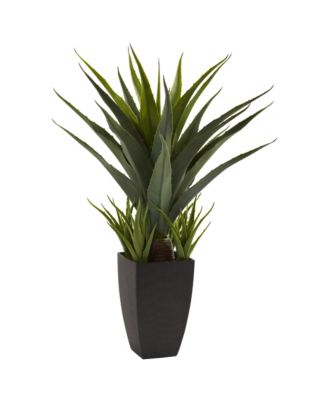 Agave Plant in Stylish Black Planter Modern Indoor Decoration