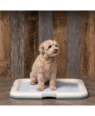 Holder, Fits 23"x23" or Larger, Medium, Puppy Dog Pad Hoder, Secured Latches, Non-Skid Rubber Feet, High Polish Finish for Easy Cleaning, Leak Protection, Dog Potty Tray, Blue