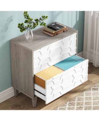 2-Drawer File Cabinet, Lateral Filing Cabinet, Office Storage Cabinet, Printer Stand with Storage Drawer for Home Office