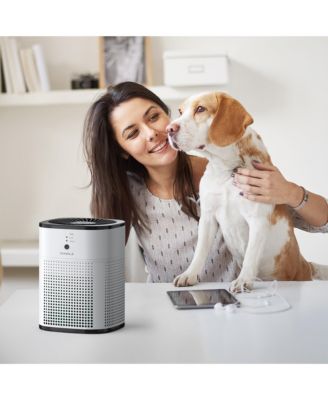 2-Pack Quiet Air Purifiers