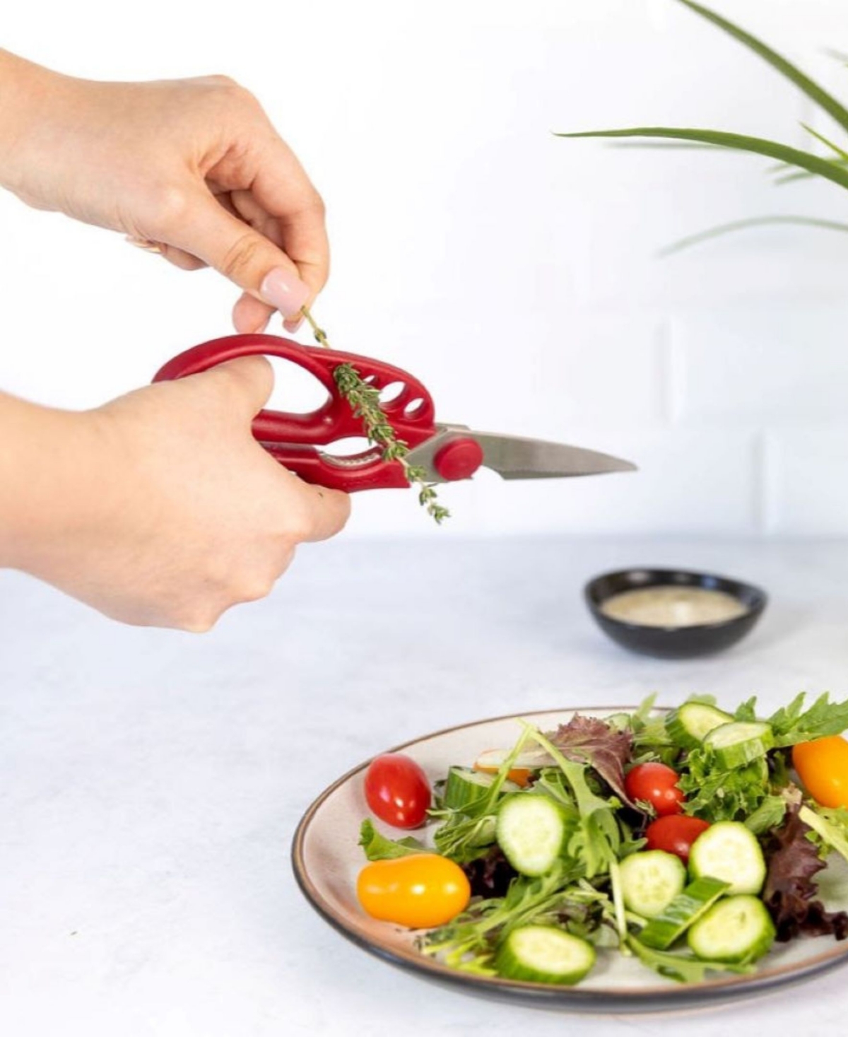 KitchInventions Strip-n-Snip 8