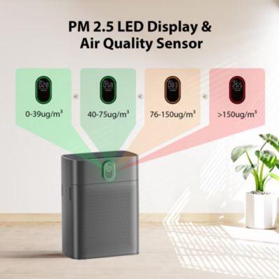 MORENTO Air Purifier, PM2.5 Sensor, HEPA Filter, 24dB Quiet, Dual Inlet, Covers 1076 sq. ft – Dark Grey, 1-Pack