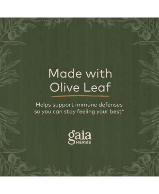 Olive Leaf - Traditional Immune Health Support - Immune System Supplement with Olive Leaf Extract and Oleuropein - 120 Liquid Phyto-Caps