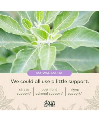 Adrenal Health Nightly Restore - Adrenal Support Herbal Supplement with Ashwagandha, Magnolia Bark, Cordyceps, Lemon Balm, and More - 120 Liquid Phyto-Capsules (60 Servings)