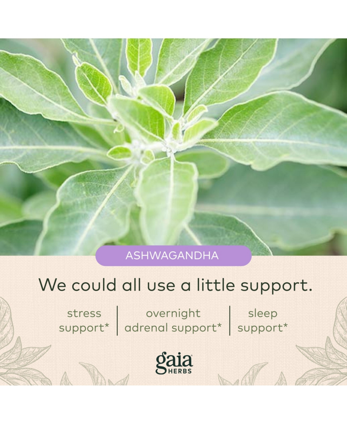 Gaia Herbs Adrenal Health Nightly Restore - Adrenal Support Herbal Supplement with Ashwagandha, Magnolia Bark, Cordyceps, Lemon Balm