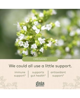 Oil of Oregano - Immune and Antioxidant Support Supplement to Help Sustain Overall Well-Being - With Oregano Oil, Carvacrol, and Thymol - 120 Liquid Phyto-Capsules (60-Day Supply)