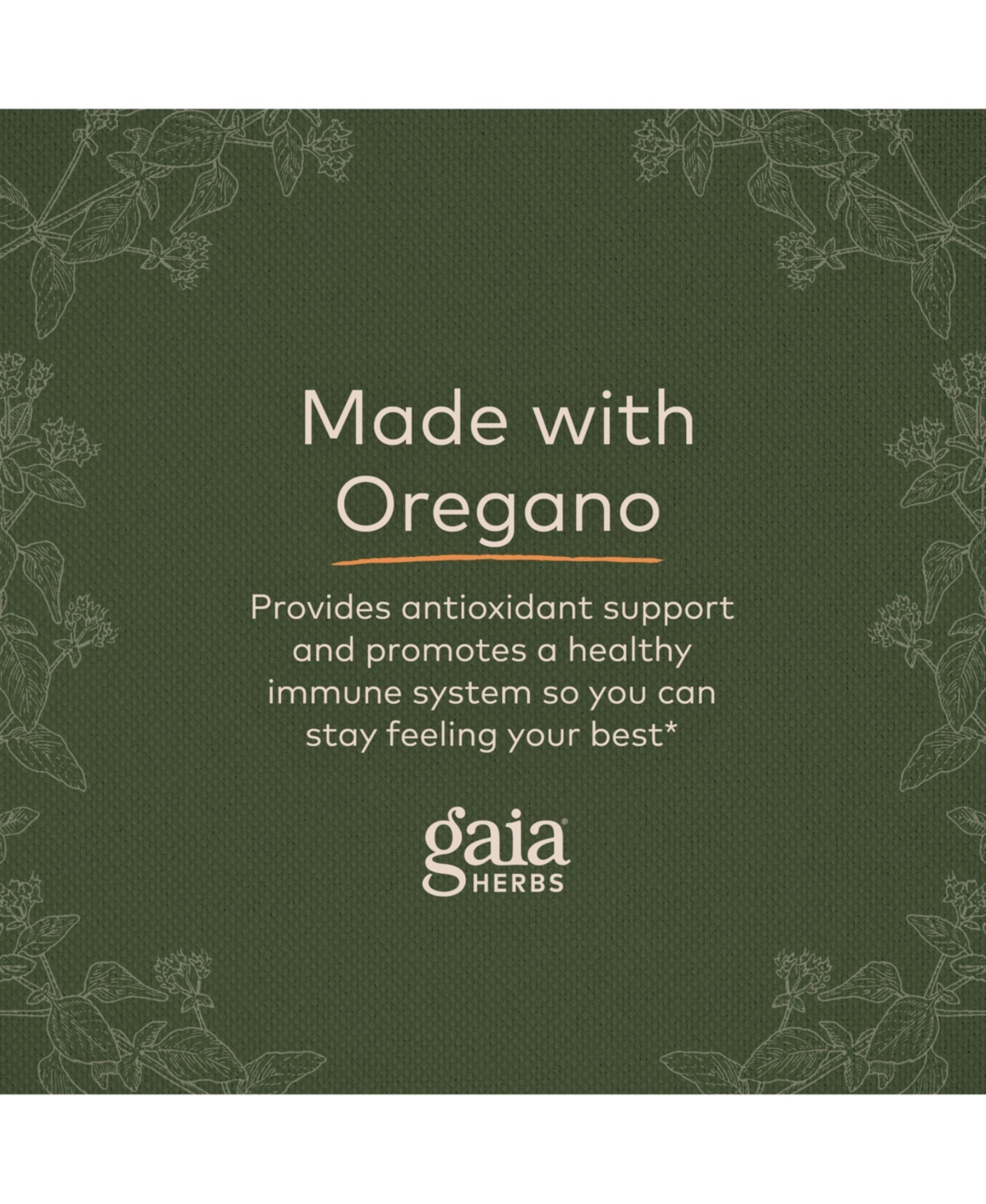 Gaia Herbs Oil of Oregano - Immune and Antioxidant Support Supplement to Help Sustain Overall Well-Being - With Oregano Oil, Carvacrol, and Thymol - 1