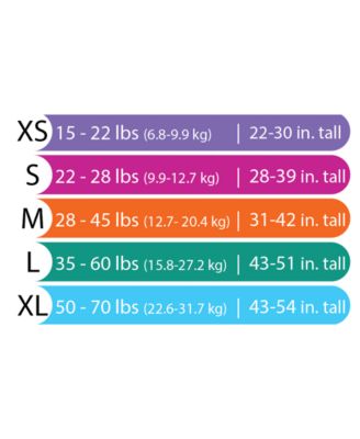 Kanga Care Toddler Lil Learnerz 2.0 Reusable Toilet Training & Swim Pants