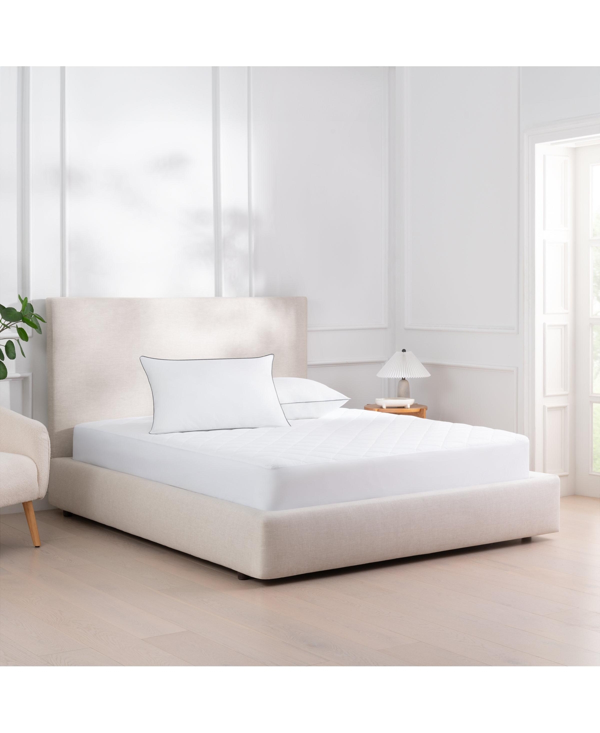 Host and Home Hypoallergenic Pillows (2 Pack) - White with Silver Piping, Cotton with Poly Fill - 20x30 in. - White with silver piping
