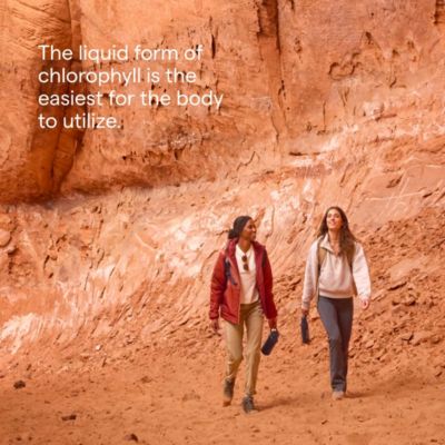 Ionic Chlorophyll – Supports Natural Cleanse, Immune & Digestive Health – Mint Flavor, 2 fl oz (120 Servings)