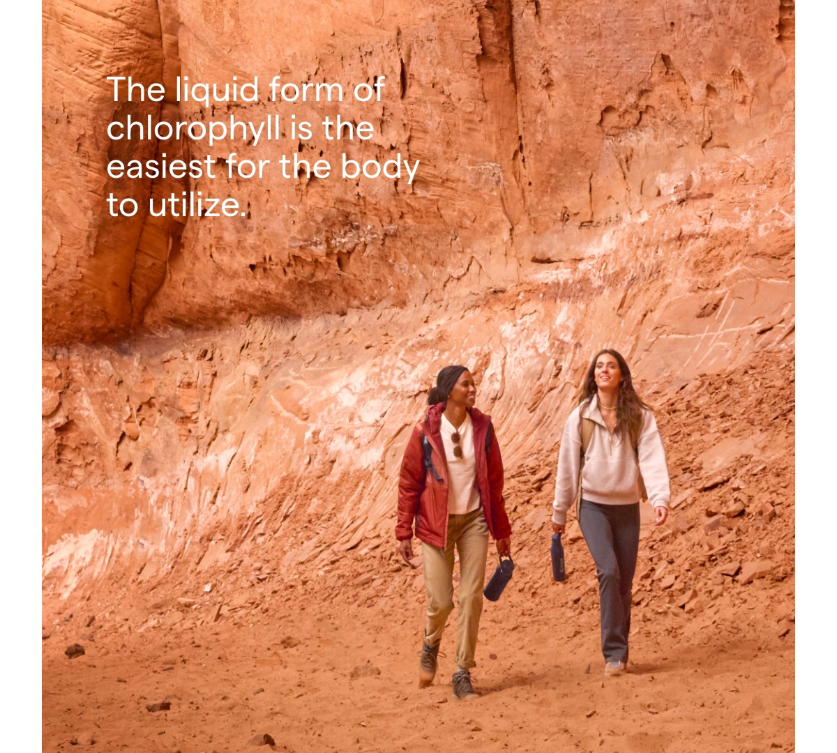 Trace Minerals Concentrated Ionic Chlorophyll | Supports & Immune Function | Antioxidant | Supports Blood & Energy | Mint Flavored | 2.0oz 6,000mg/bot