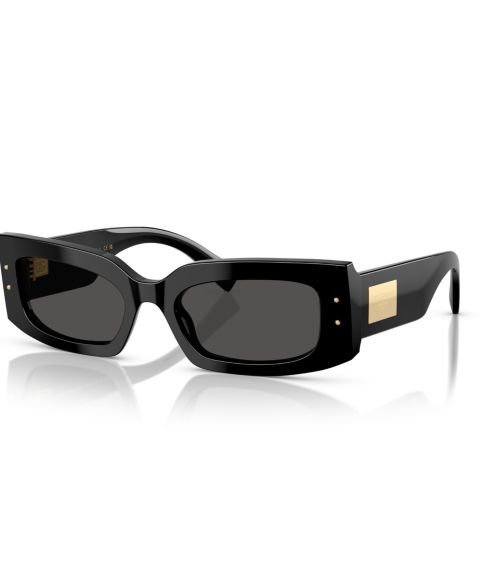 Женские солнцезащитные очки Dolce&Gabbana Sunglasses DG4479, цвет: Чёрный
