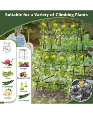 A-Frame Garden Cucumber Trellis with Netting for Outdoor Climbing Plants