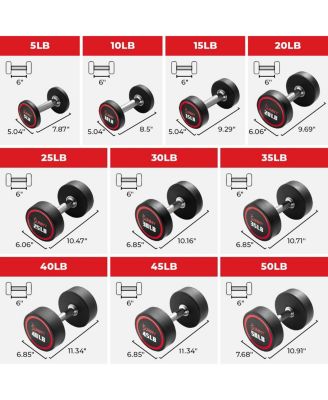 Signature Style Polyurethane Round Dumbbells, 5LBs (Pair)