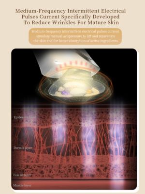 RF 5 In 1 EMS Micro Current LED Light Beauty Device