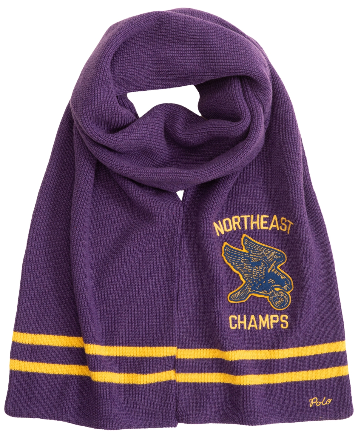 Polo Ralph Lauren Men's Polo Ball Team Scarf In Cabana