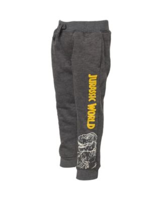 Toddler Boys Jurassic World Jurassic World Dinosaur T-Rex Fleece Pullover Hoodie and Pants Outfit Set