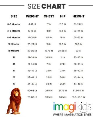 Toddler Boys Disney Simba Zip Up Cosplay Coverall Newborn to