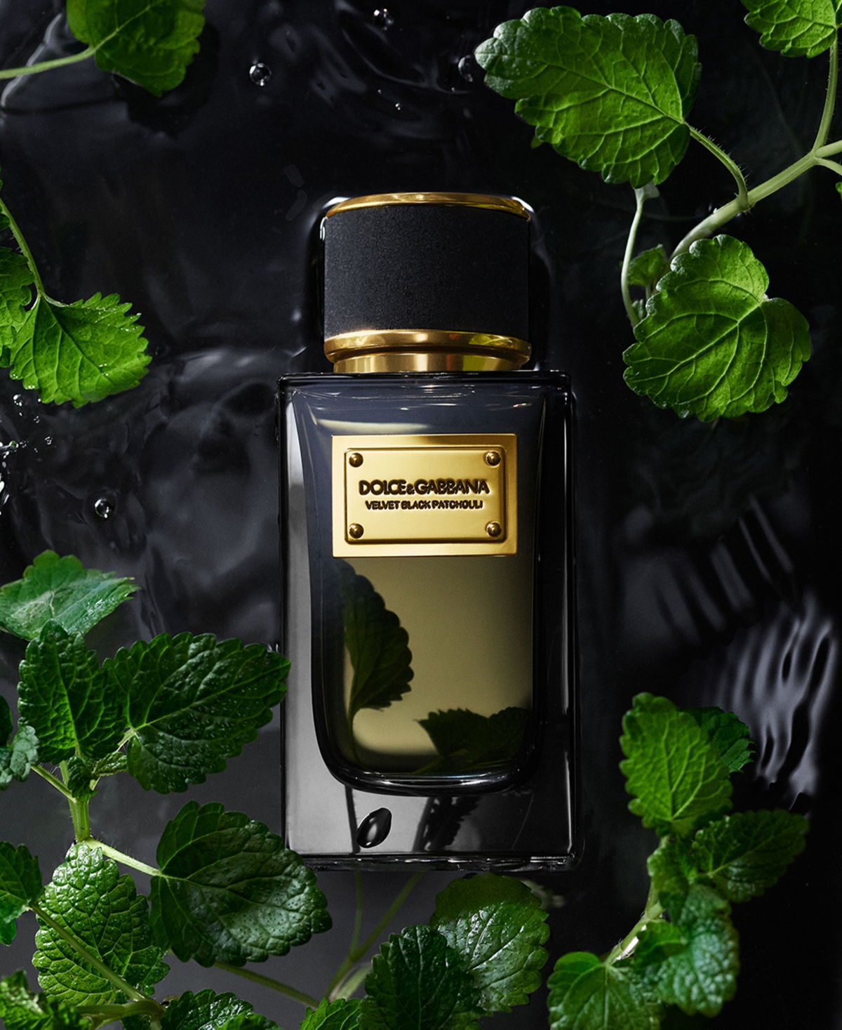 Dolce & Gabbana Velvet Black Patchouli Eau De Parfum, 3.3 Oz. In No Color