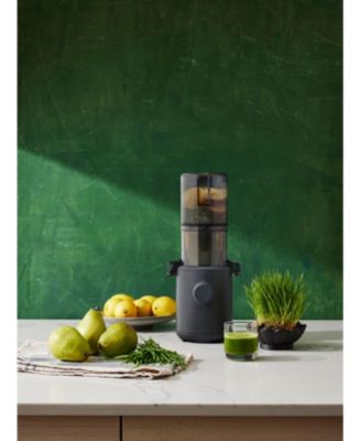 H310 Personal Easy Clean Slow Juicer