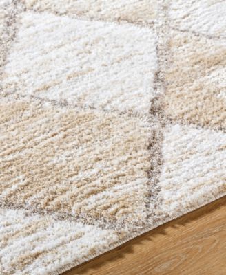 Delight Shag DEL-2306 5'3"x7' Area Rug