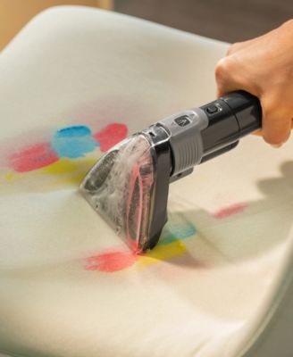 Little Green Pet Pro Portable Carpet Cleaner