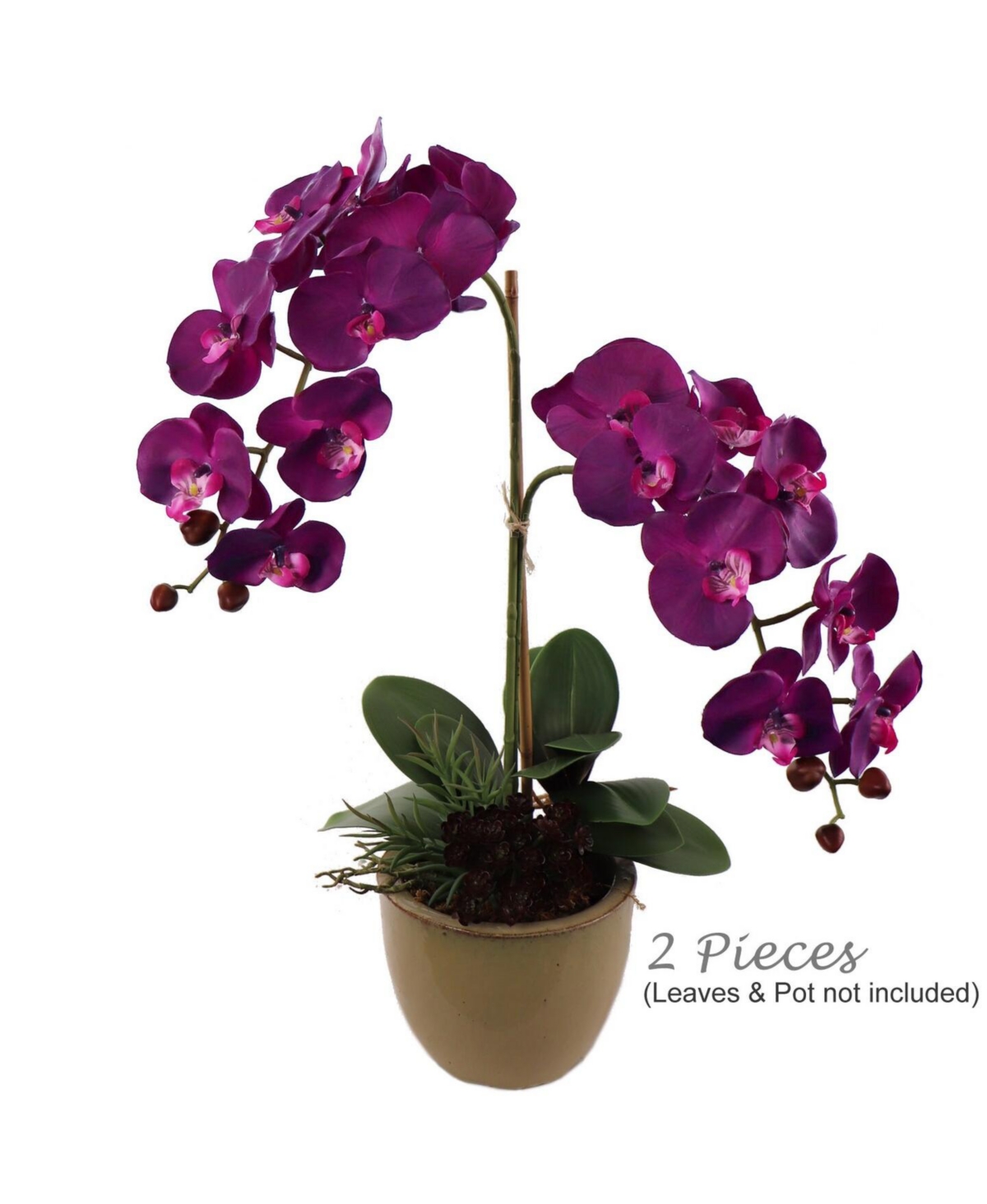 Floral Home Burgundy Phalaenopsis Orchid Stems - 33.5-Inch