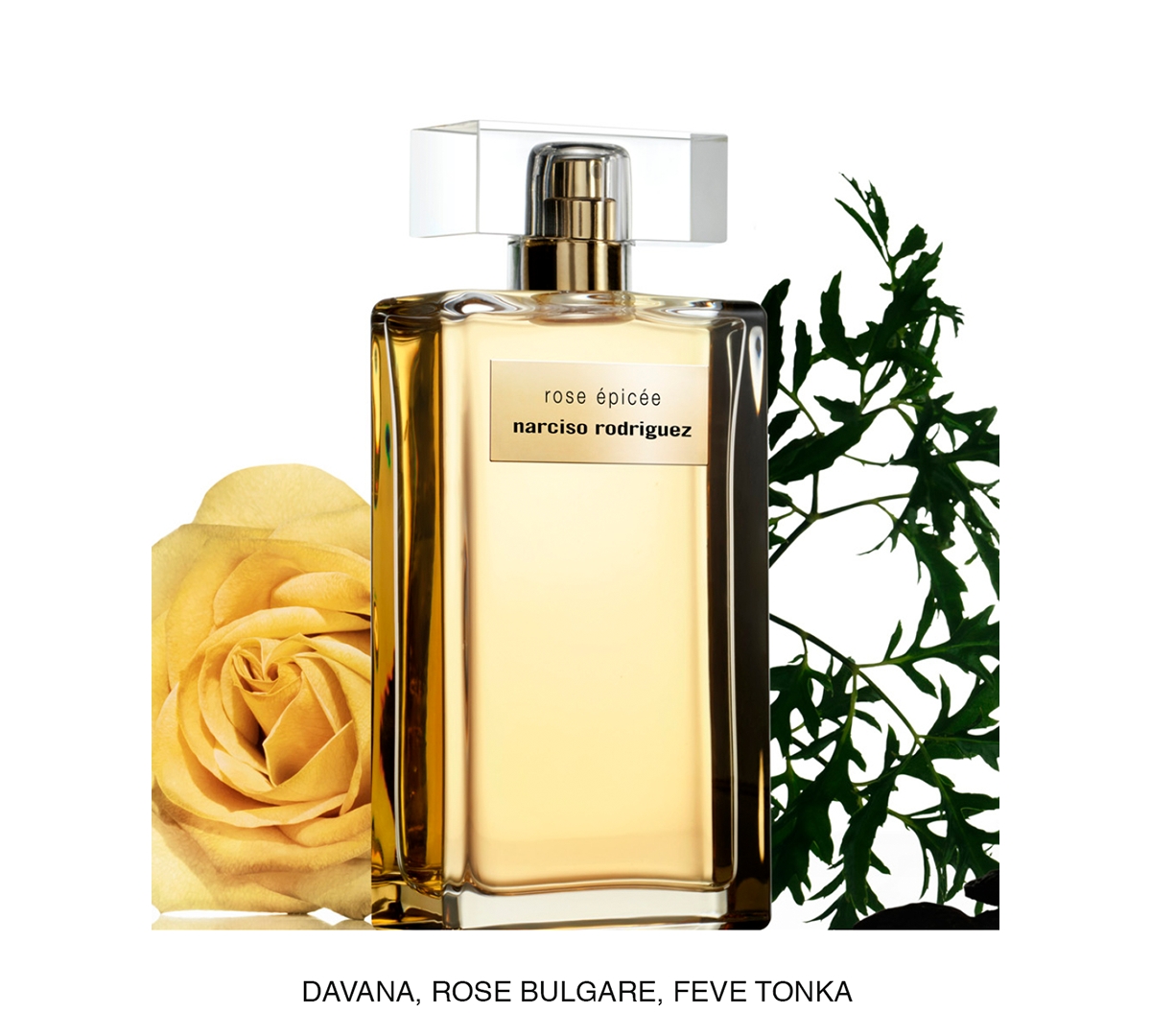 Narciso Rodriguez Rose Epicee Eau De Parfum Intense, 3.3 Oz. In No Color