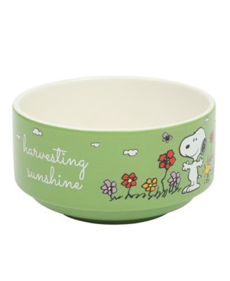 Snoopy 6 Pack Stackable 5.5" Decorated Stoneware Bowl Set W/ Plate