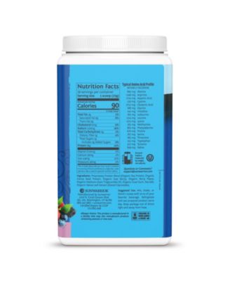 Warrior Blend Protein, Plant-Based Organic Protein Powder, Berry, 750gm