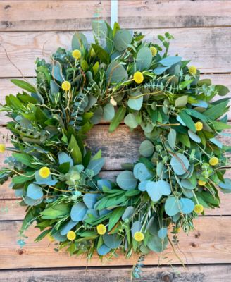 Bayleaf, Baby Blue Eucalyptus, Rosemary, Curly Willow and Yellow Billy Balls Real Aromatic Wreath, 22"