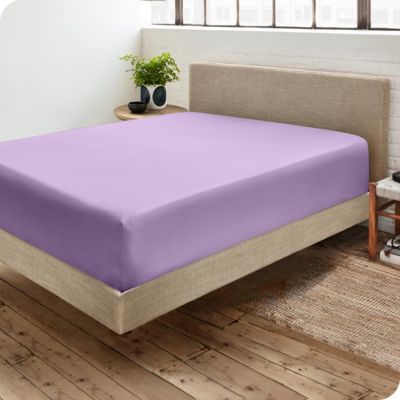 Ultra-Soft Double Brushed Fitted Sheet