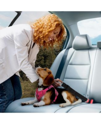 Dog Seat Belt, Car Harness for Dogs, Adjustable Safety Leash Pet Seatbelt,  Durable, Made of Nylon